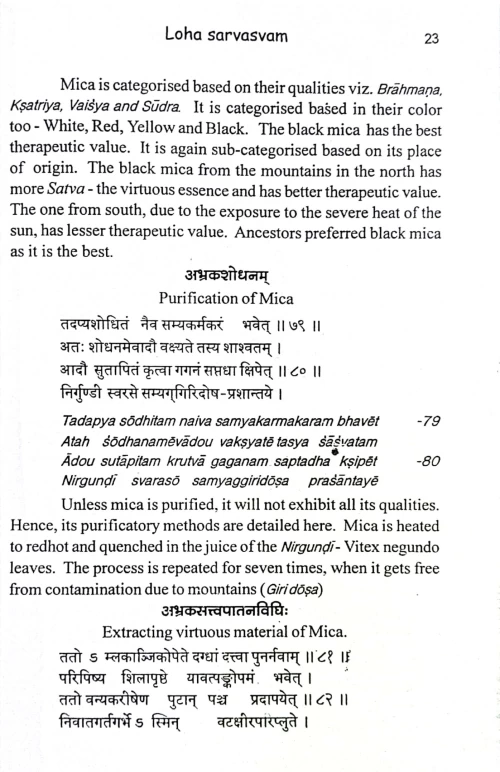 Lohasarvasvam of Suresvara